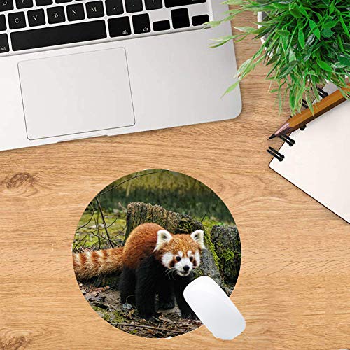 Ronde muismatten, gaming-muismat, puppy's van Chow Chow Pet - genaaide randen - Afbeelding 3