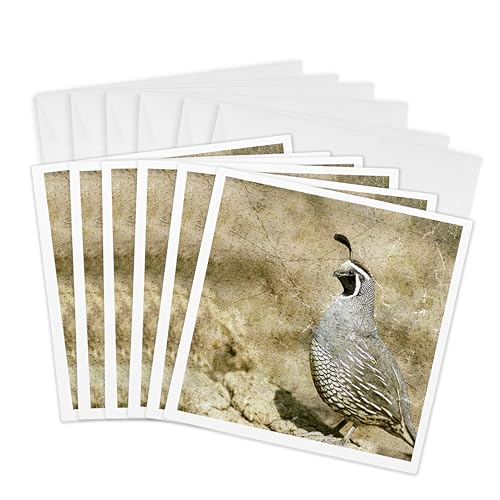 Cartes de vœux California Quail 3dRose Gc_12394_1 lot de 6