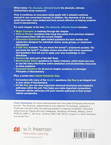 Absolute, Ultimate Guide to Principles of Biochemistry Study Guide and Solutions Manual - Image 2