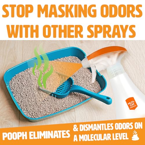 POOPH Kitty Spray - Odor Eliminator, 32oz - Dismantles Odors on a Molecular Basis, Cats, Freshener, Eliminator, Urine, Poop, Pee, Deodorizer, Fresh, Clean, Furniture, Potty, Safe - Thumbnail 6