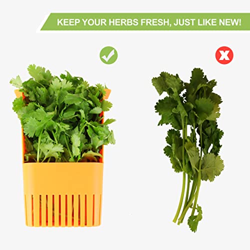 Image of LUVCOSY Fresh Herb Keeper for Refrigerator, Clear BPA-Free Herb Saver, Storage Container for Cilantro, Parsley, Thyme, Mint & Asparagus, Preserver Keeps Fresh Herbs for 3 Times Longer, Orange