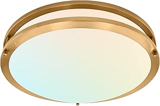 LUXRITE 16 Inch LED Flush Mount Ceiling Light, 5 Color Selectable 2700K ...