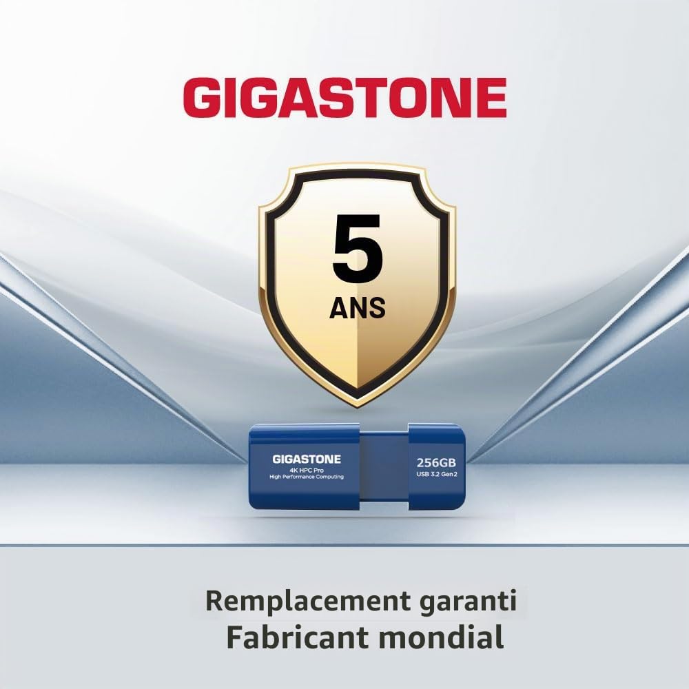 GIGASTONE Z80 Clé USB 3.2 Gen2 256 Go, R/W 1000/800 Mo/s HPC Calcul Haute Performance, Rétractable sans Capuchon Conception, Compatible avec Interface USB 2.0 / USB 3.0 / USB 3.1