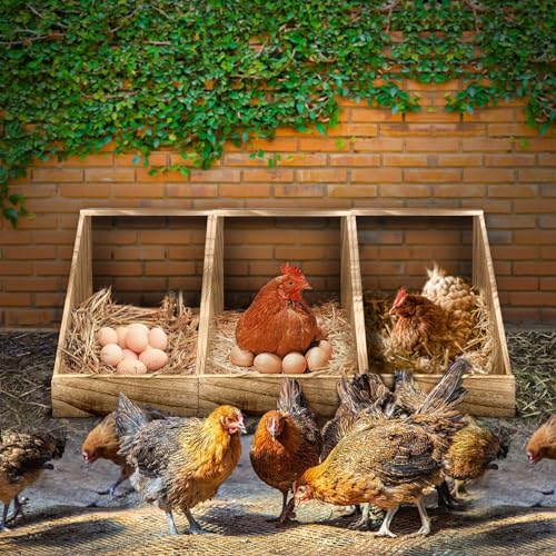 Wooden Single Compartment Chicken Nesting Box for Outdoor Coop - Comfortable Laying Box for Hens, Ducks and Poultry with Easy-Clean Design and Ventilated Egg Laying Space for Backyard Chickens - Image 4