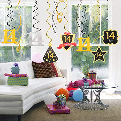 Lingteer Happy 14Th Birthday Swirls Streamers - Cheers To 14Th Birthday Fourteen Years Old Bday Party Hanging Decorations. #TOP5