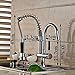 Classical Style Chrome Spring Pull Down Sprayer Single Kitchen Faucet Double Handle Faucet Free Hands Faucets Kitchen Mixers