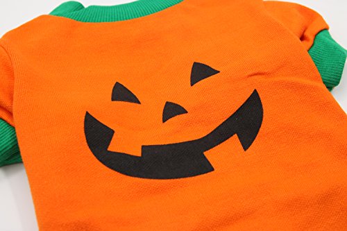 Disfraz Halloween Camiseta Calabaza para Perro Mediano miniatura 3