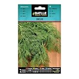 Semillas Batlle - Eneldo - Anethum graveolens, Color Verde