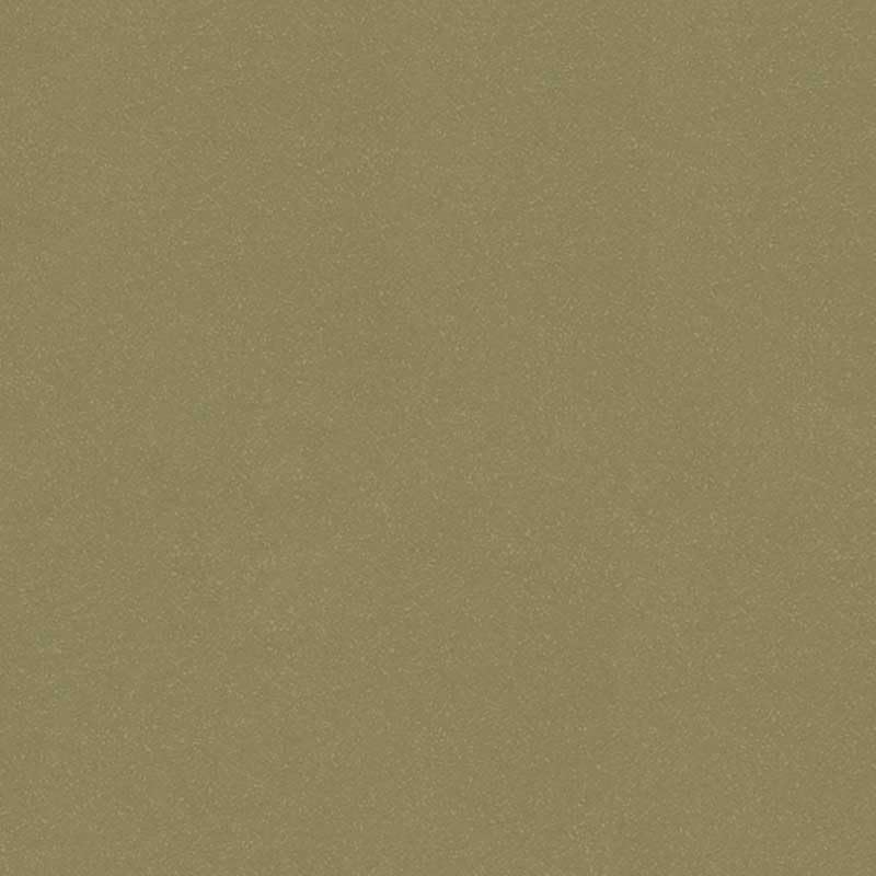 R&E Paint Supply Compatible with Chrysler PKJ, Light Almond Pearl Metallic Automotive Paint, 11oz Aerosol