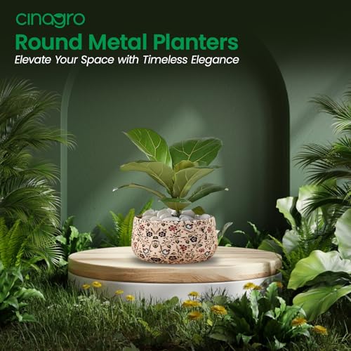 Image of CINAGRO Metal Flower Vase Planter Pot, Pots for Plants, Plant Pots for Home Decoration, Succulent Pot, Indoor Planter Garden Decor Style: Earthly Elegance