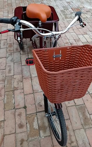 Triciclo Paseo para Adultos con Cabin, 3 Ruedas miniatura 3