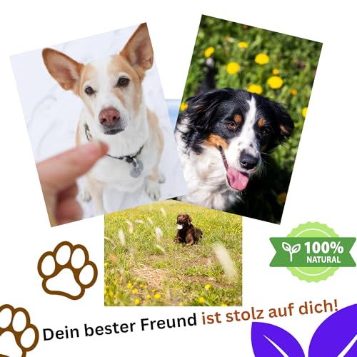 Naturpfötchen Freilandgans - Kaltgepresstes Premiumfutter aus Freilandhaltung - Reich an Ballaststoffen und Protein (25%) - ohne Konservierungsstoffe - Produziert von der Markus Mühle (5kg)