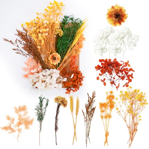 Flores Secas, Flores Prensadas, Flores Secas, Manualidades para Bricolaje, Resina, Scrapbooking, Joyería, Decoraciones Florales (Naranja)
