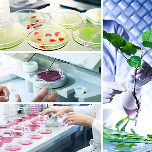 10 Pack Sterile Plastic Petri Dishes With Lid, 90Mm Dia X 15Mm Deep, Lab Petri Plate Dish For Lab Analysis, School Projects, Blood Samples, Bacteria, Plant & Seed Cultivation Cell-Culture Petri Dish #TOP5