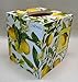 Designs by Vincenza Handmade Decoupage Wood Tissue Box Cover, Lemons, Citrus