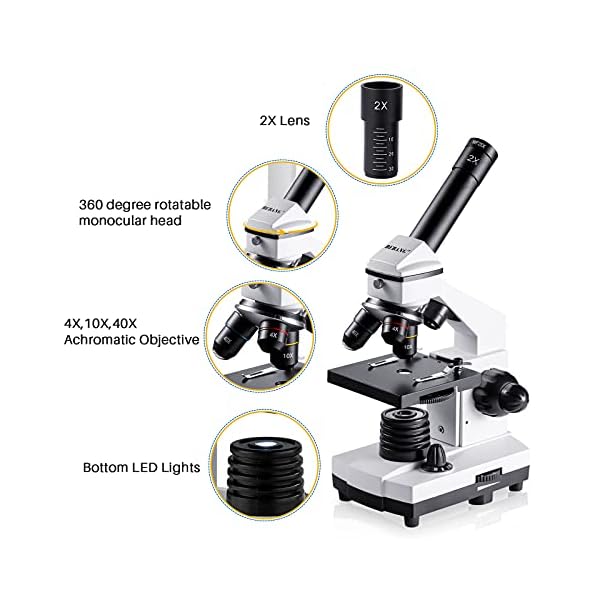 Microscope-for-Adults-Kids-100X-2000X-BEBANG-Compound-Microscope-with-Microscope-Slides-Microscope-Kit-for-Kids-Students-Home-School-Lab Microscope-for-Adults-Kids-100X-2000X-BEBANG-Compound-Microscope-with-Microscope-Slides-Microscope-Kit-for-Kids-Students-Home-School-Lab