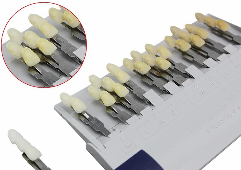 Image of Dental Shade Guide 3D Master | 29 Colors Including Bleaching Shades for Veneers & Esthetics | Professional Tooth Color Matching Tool for Accurate Dental Shade Selection