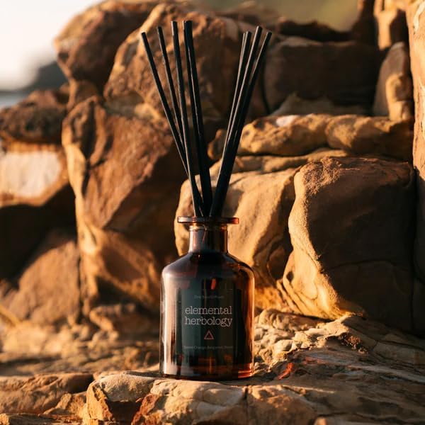 Elemental Herbology Zest Reed Diffuser – Uplifting Aromatherapy with Sweet Orange, Bergamot & Neroli – Natural Rattan Reeds for Long-Lasting Fragrance – Energize Mood & Enhance Focus - Image 4