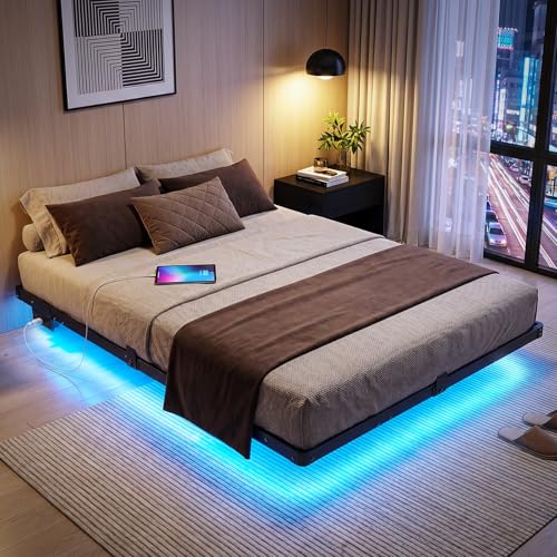 Liians Queen Size Floating Bed Frame with USB Charging Station...