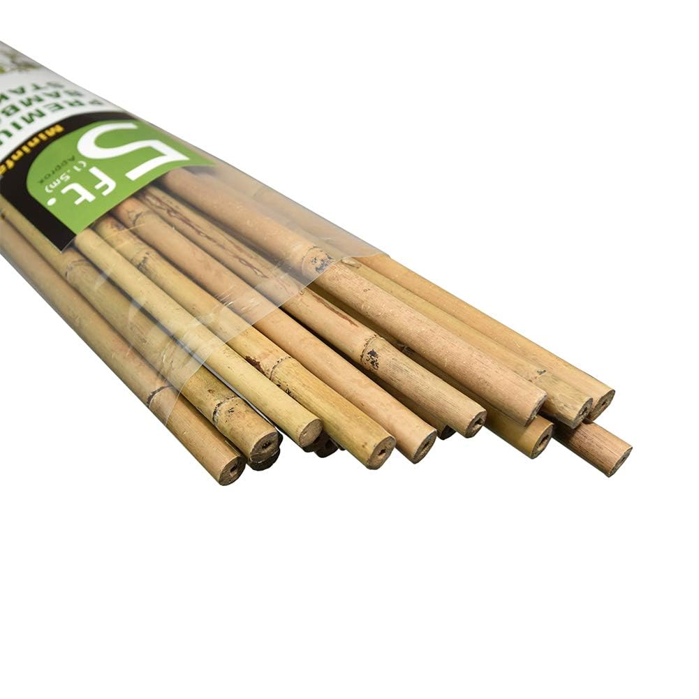 Mininfa Canne di bambù naturale, 1,5 m, paletti in bambù, ecologici, per piante da giardino, supporti per arrampicata per pomodori, alberi, fagioli, confezione da 20