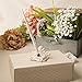 FASHIONCRAFT 2466 Baroque Design Pen and Base Accessory Set, Ivory