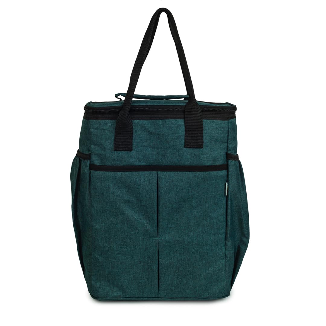 HOOM Extra Large Family Size 20 Ltrs Insulated Lunch Bag/Tiffin Bag for Office, Travel, Picnic, Camping, Party, Etc.(Green) (B0CFXVKVR4) Amazon Price History, Amazon Price Tracker
