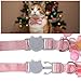 Nogeqi 2PCS Adorable Cat Collars for Girl Cats, Cute Pink Kitten Collar with Bell Bow Flower Pendant, Adjustable Cat Breakaway Collar with Safety Buckle
