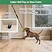 GDuolaPaws Dog Bungee Tug of War Toy, 4 Pieces Gift for Puppy/Small/Medium Dogs, Indoor Spring Pole Hang Over Door Frame, Outdoor Tether Tug Rope for Yard/Tree, Interactive Pull Toy for Self Play