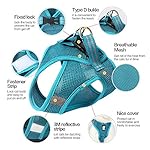 Heywean Cat Harness and Leash - Ultra Light Escape Proof Kitten Collar Cat Walking Jacket with Running Cushioning Soft and Comfortable Suitable for Puppies Rabbits (M, Turquoise) - Image 4