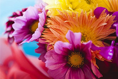 マジパン細工を独学で勉強する方法 おすすめの本や必要な道具もご紹介 マジパン細工を独学で勉強する方法 おすすめの本や必要な道具もご紹介