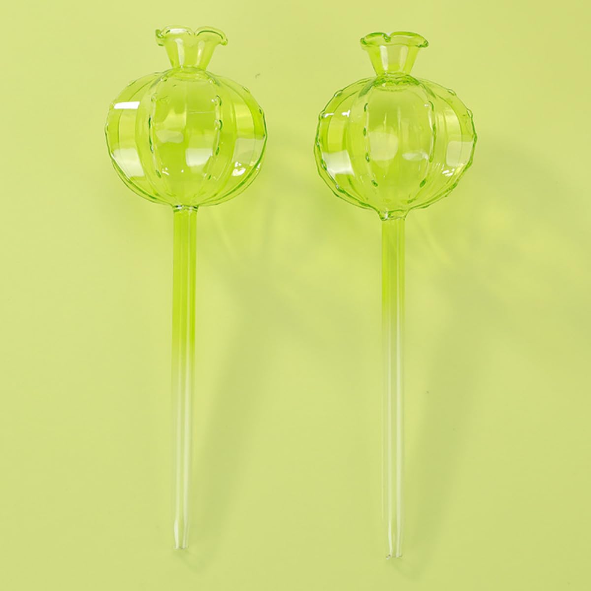 Bulbes D’arrosage Automatique pour Plantes, Lot de 4, Verre Borosilicaté