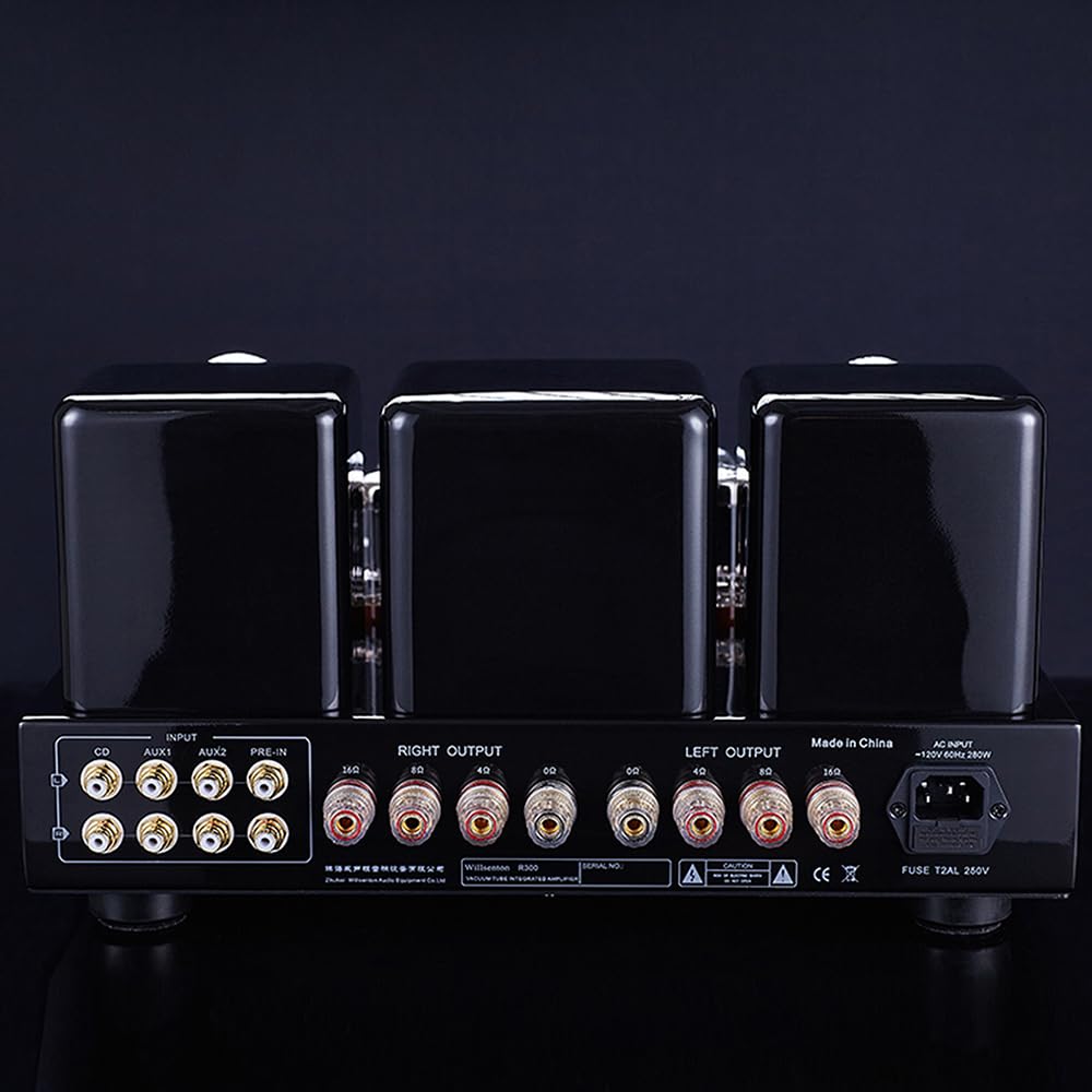Willsenton R300 Plus Amplificatore a tubo 300 Bx2 a estremità singola Classe A Amplificatore di potenza integrato Amplificatore di potenza per cuffie tutto in uno (nero)