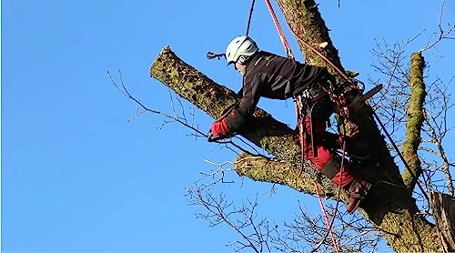 Northpada 10Mm 5 Meter Polyester Rock Static Climbing Rope Boat Anchor Marine Rope Dock Lines Arborist Tree Rope Hoist Rigging Line Orange #TOP5