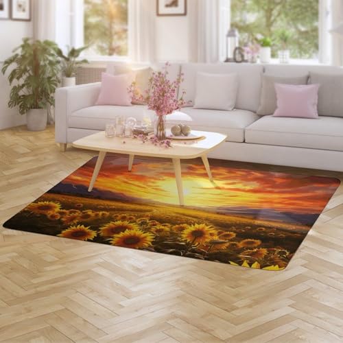Tapis antidérapant grand tapis velours corail contre sol glissant