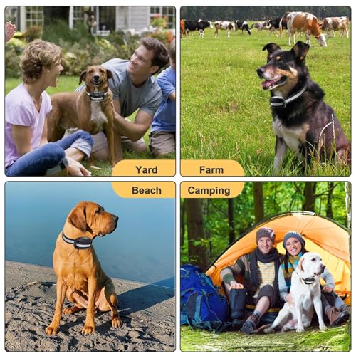 LEYOASD GPS Dog Fence Training Tips