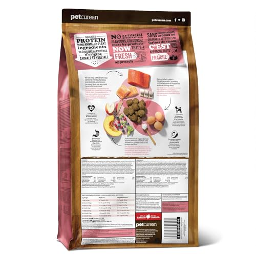 Image of Now Fresh Grain-Free, Dry Dog Food, Real Trout, Salmon and Herring Adult Recipe, All Breed Size, 22 lb Bag