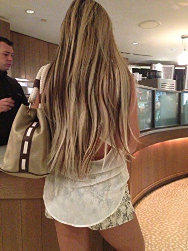 Sylvia 24" Natural Blonde Omber Brown Highlight Silky Straight Synthetic Lace Front Wigs Middle Parting 180% Density Heat Resistant Fiber Hair For