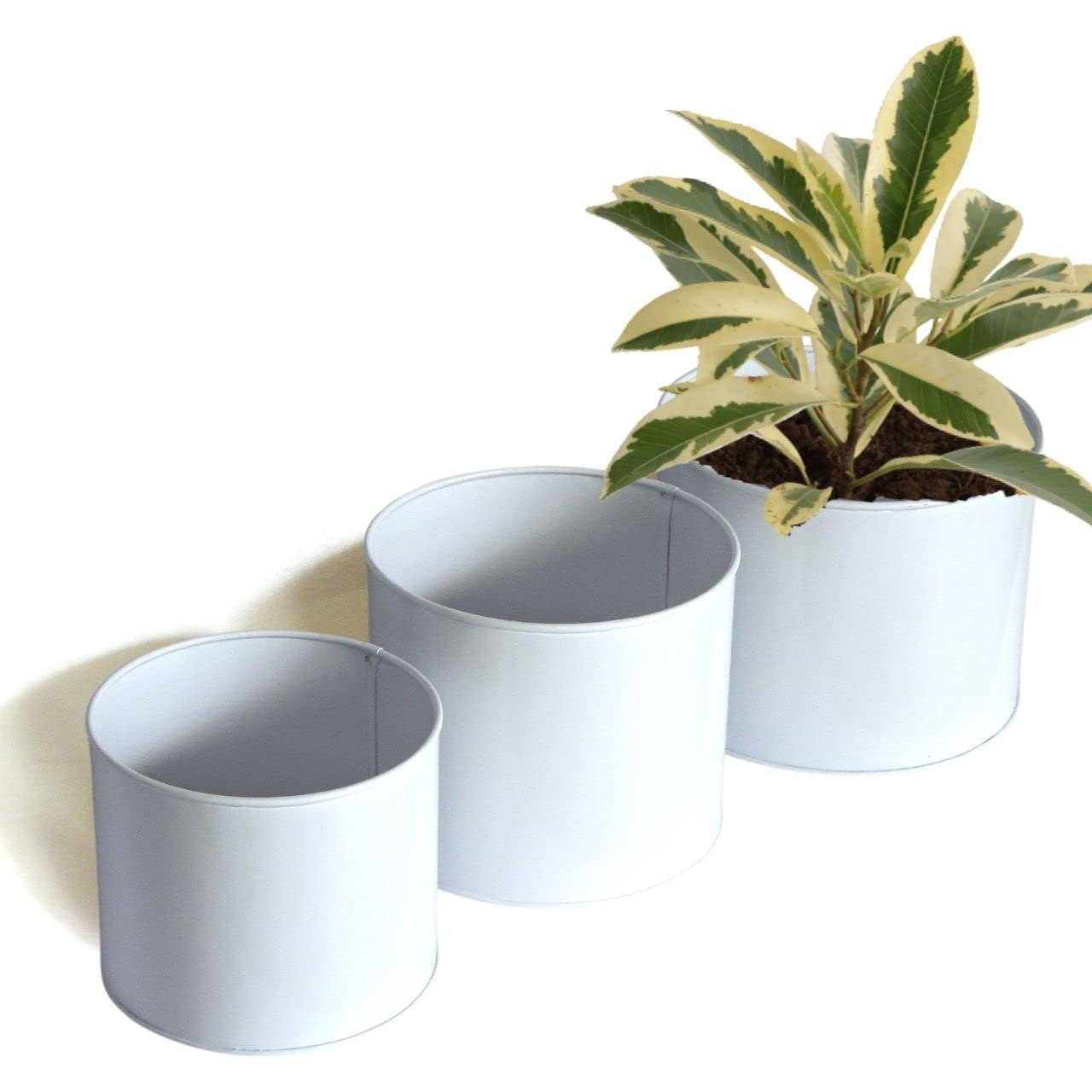 ecofynd Centuria Metal Plant Pots (6.2 inch, 7 inch, 8 inch), Decorative Modern Indoor Planters Flower Pots, Home Garden Decor Planter for Living Room Bedroom Interior (Pack of 3, POT025) (B0B3TZKKFG) Amazon Price History, Amazon Price Tracker