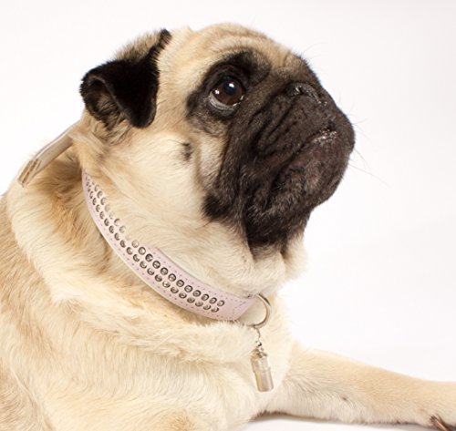 Aribari 2 x Adressanhänger für Hunde und Katzen, Halsbandanhänger, Namensschild auch für kleine Tiere geeignet, Anhänger zur Tierkennzeichnung, aus Metall und wasserdicht