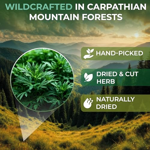 Image of 50 Bags Wormwood Herbal Tea (Artemisia Absinthum L.) - 50 Tea Bags 1.5g Absinthe Wormwood Herb