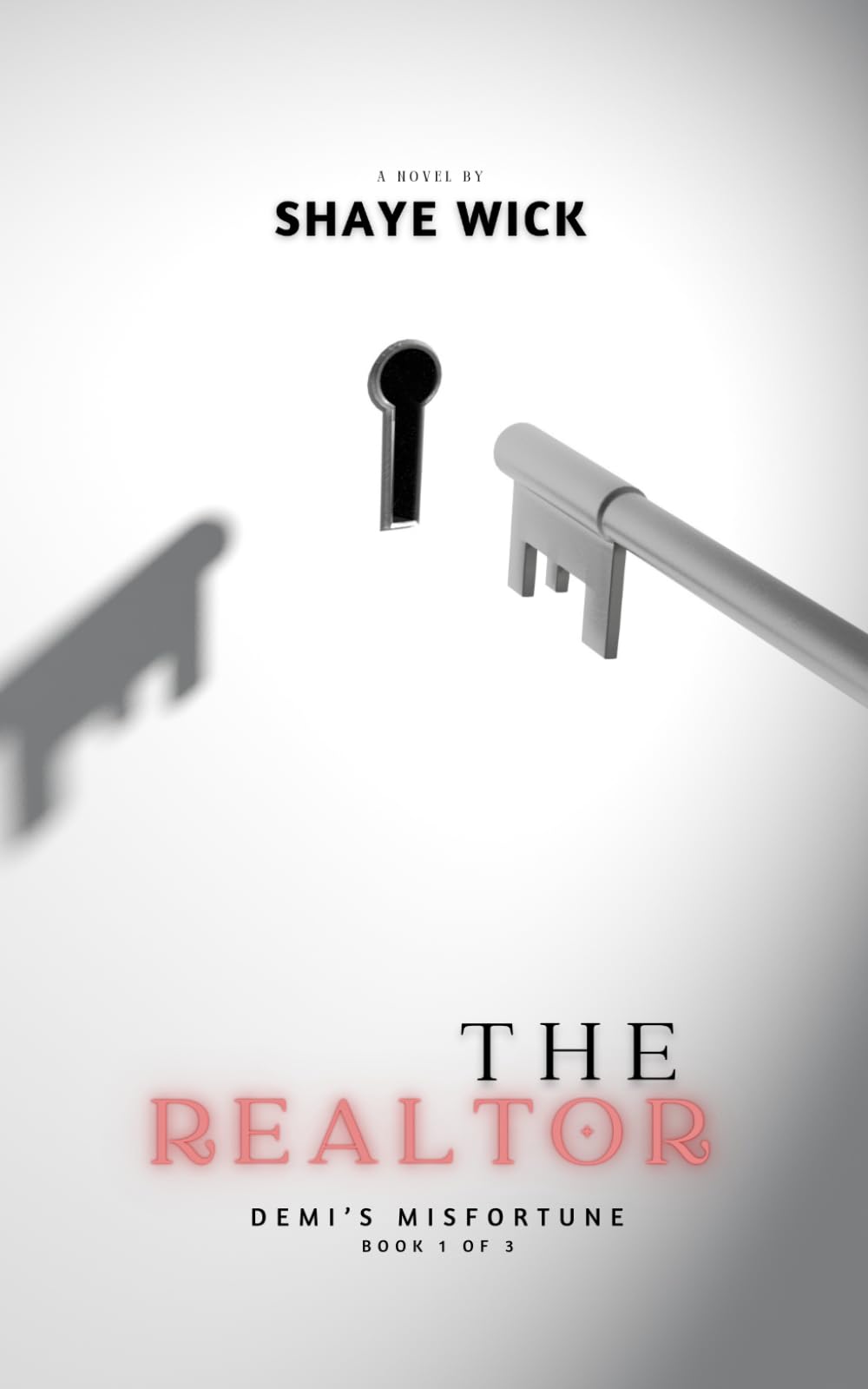 The Realtor: Demi's Misfortune (The Realtor Series)