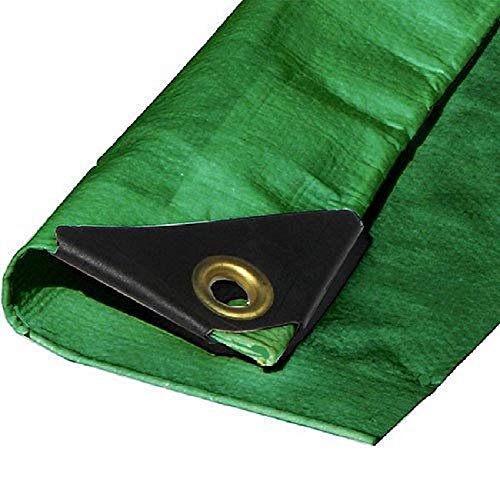 Green Heavy Duty 12 Mil Thickness Poly Tarp Protection Cover Privacy Shade Canopy Top (10' x 10')