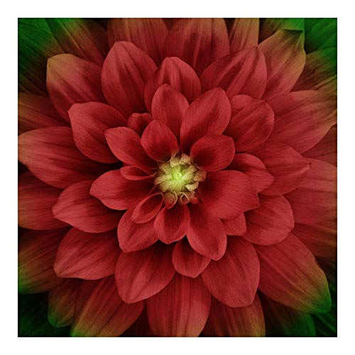 Hoffman Digital Dream Big 43" Floral Panel Scarlet, Fabric