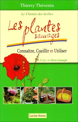 Télécharger Les plantes sauvages : Connaître, cueillir et utiliser Francais PDF