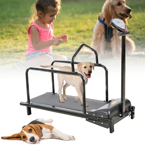 Indoor Dog Treadmill for Exercise, Supports Up to 176 lbs, Perfect for Small to Large Dogs, Great for Weight Loss & Fitness Training