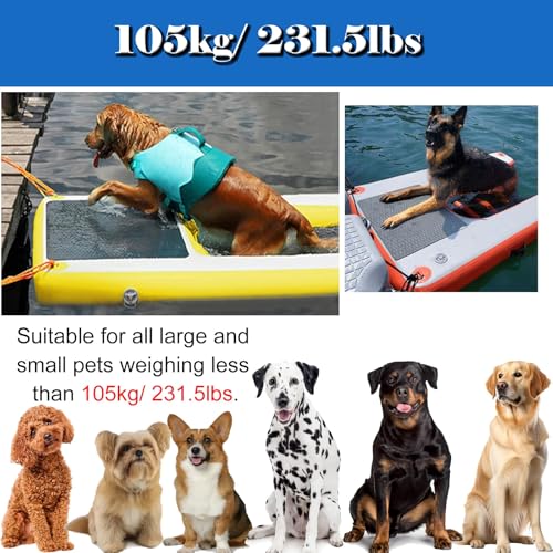 Escalier Flottante Chien Rampe Gonflable Chien Bouée Pliable Pompe Sac D - 4