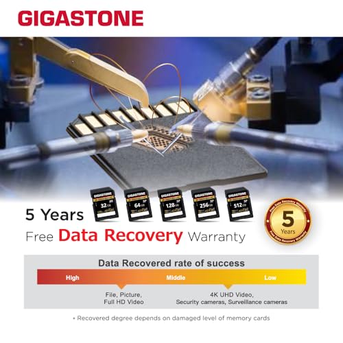Image of 【5-Years Data Recovery】 GIGASTONE 64GB SD Card 2-Pack, 4K Camera Extreme, Speed Up to 160MB /s, UHS-I A2 V30 U3 SDXC Memory Card High Speed UHD Video Compatible with Digital Camera, with 2 Mini Cases