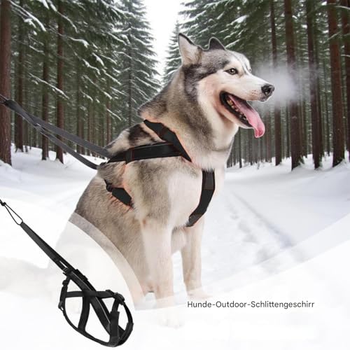 Zughundegeschirr,Reflektierendes Laufgeschirr Für Hunde | Verstellbares Gurtzeug Für Training Skaten Outdoor Aktivitäten