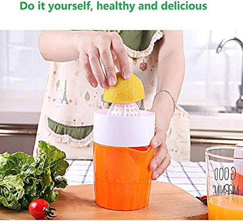 Gangang Hand Juicer Citrus Orange Squeezer Manual Lid Rotation Press Reamer for Lemon Lime Grapefruit with Strainer and Container
