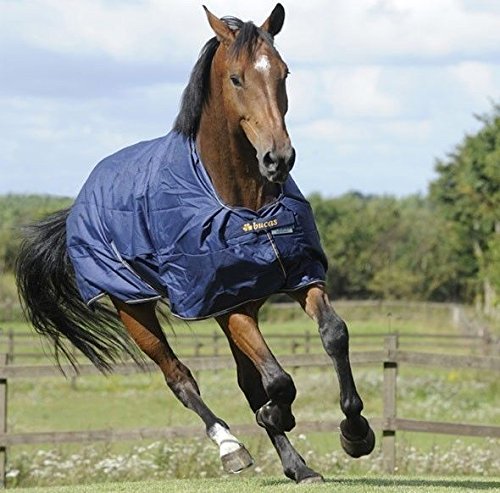 Foto von Bucas Irish Turnout Light/50 Classic, Weidedecke Rückenlänge 155 cm, Navy/gold